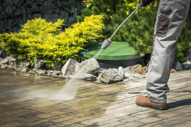Best Pre-Holiday Cleaning  in Bedford Hills, NY